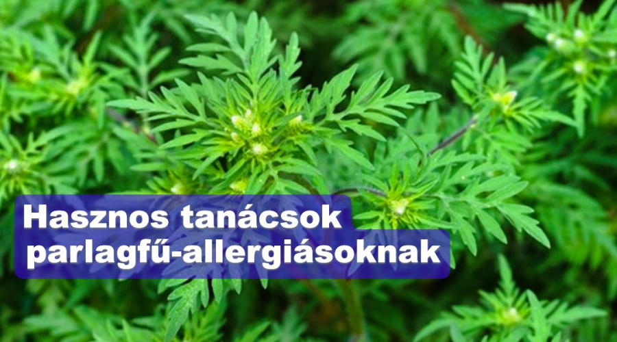Fejléc borítóképe.